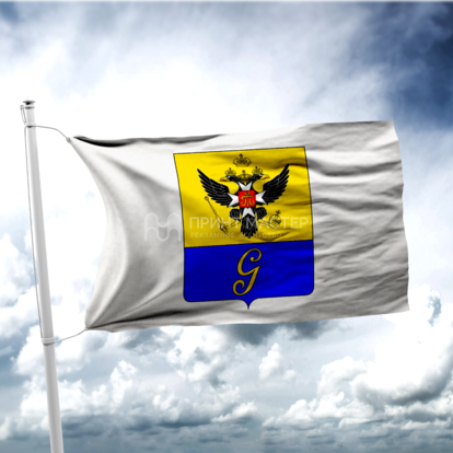 Флаг города Гатчины